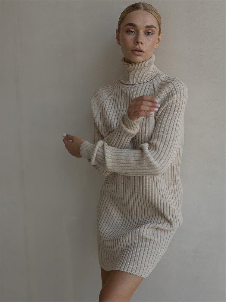 AMBER | Long Sleeve Turtleneck Sweaters Dress