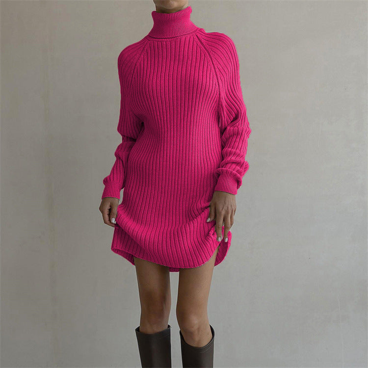 AMBER | Long Sleeve Turtleneck Sweaters Dress